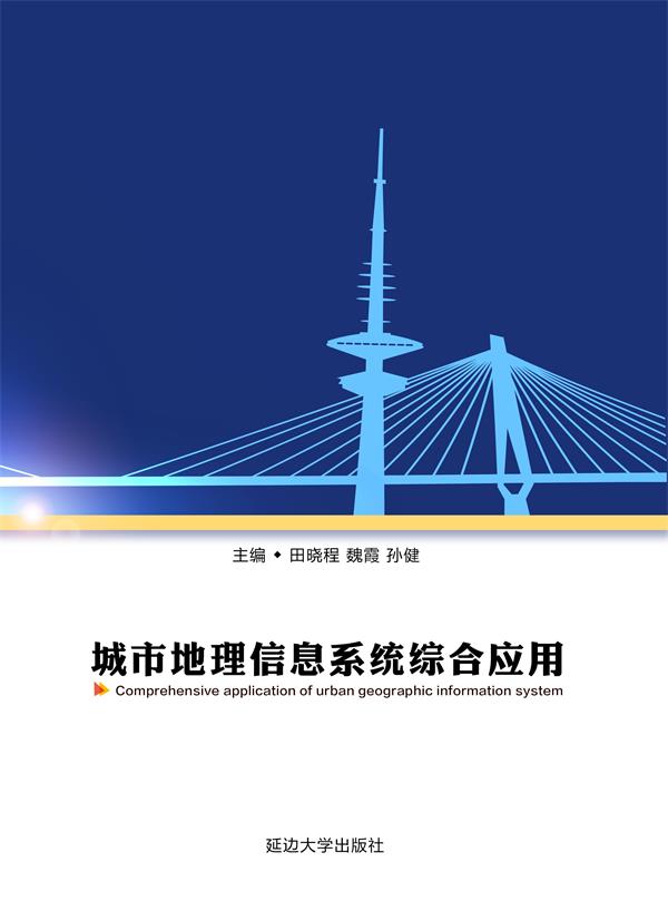 城市地理信息系统综合应用