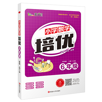 小学数学培优·六年级